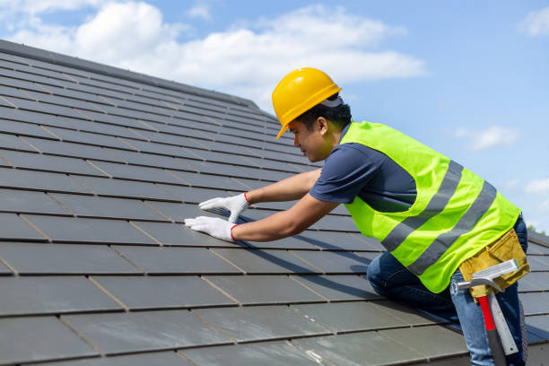 Best Roof Ventilation Installation  in Freemansburg, PA