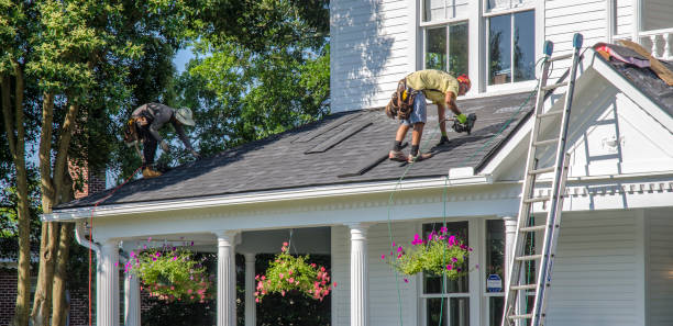 Best Roof Moss and Algae Removal  in Freemansburg, PA